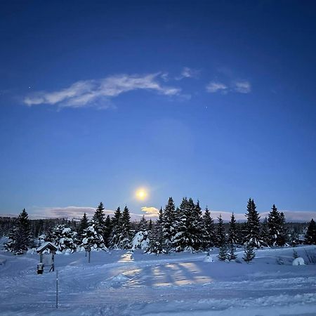 Nordseter Fjellpark, Hyttegrend Extérieur photo
